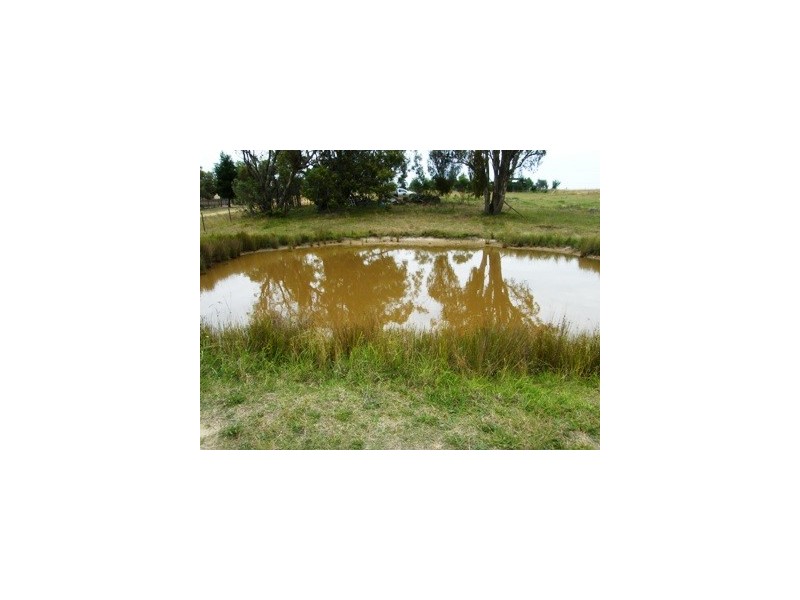 Lot 11 Brereton Street, Hillgrove NSW 2350