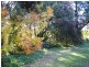 Armidale NSW 2350