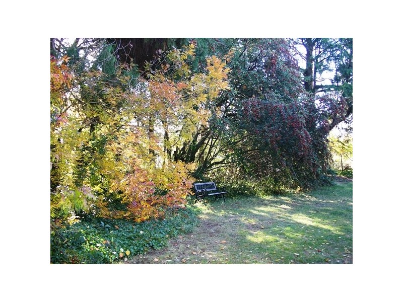 Armidale NSW 2350