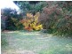 Armidale NSW 2350