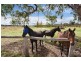25 Simmons Road, Armidale NSW 2350