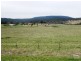 25 Meadow Road, Armidale NSW 2350