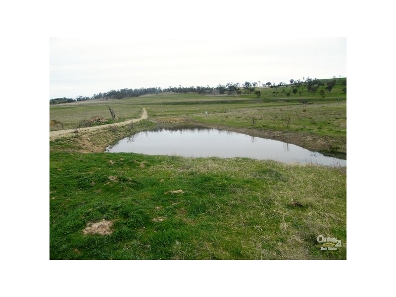 25 Meadow Road, Armidale NSW 2350