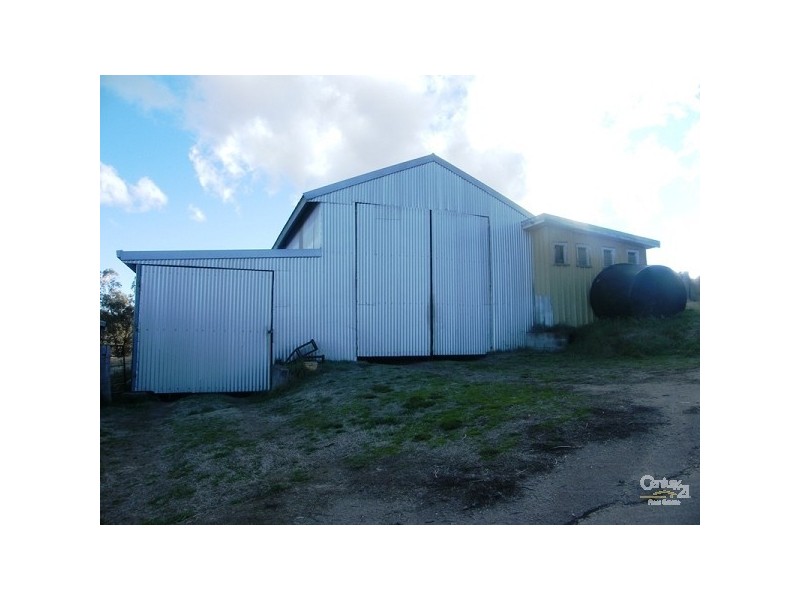 Lot 1 Trainview Back Woolbrook Road, Woolbrook NSW 2354