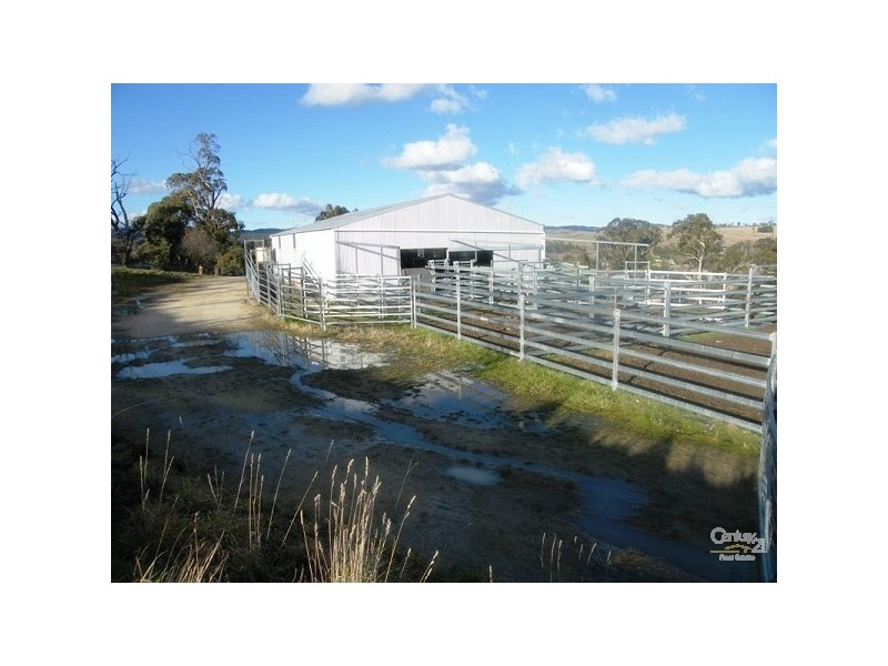 Lot 1 Trainview Back Woolbrook Road, Woolbrook NSW 2354