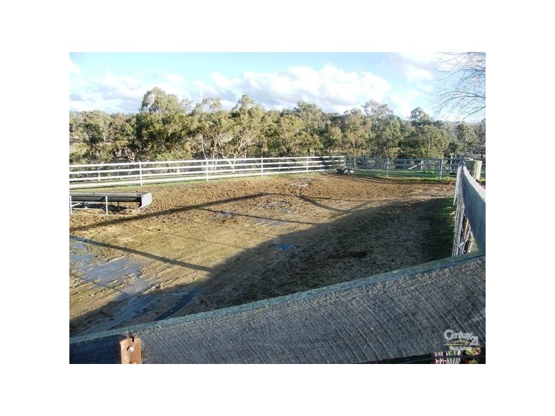 Lot 1 Trainview Back Woolbrook Road, Woolbrook NSW 2354