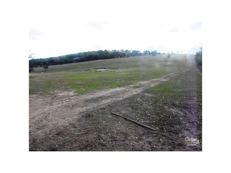Lot 1 Trainview Back Woolbrook Road, Woolbrook NSW 2354