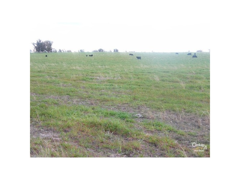 Lot 101 Back Woolbrook Road, Woolbrook NSW 2354