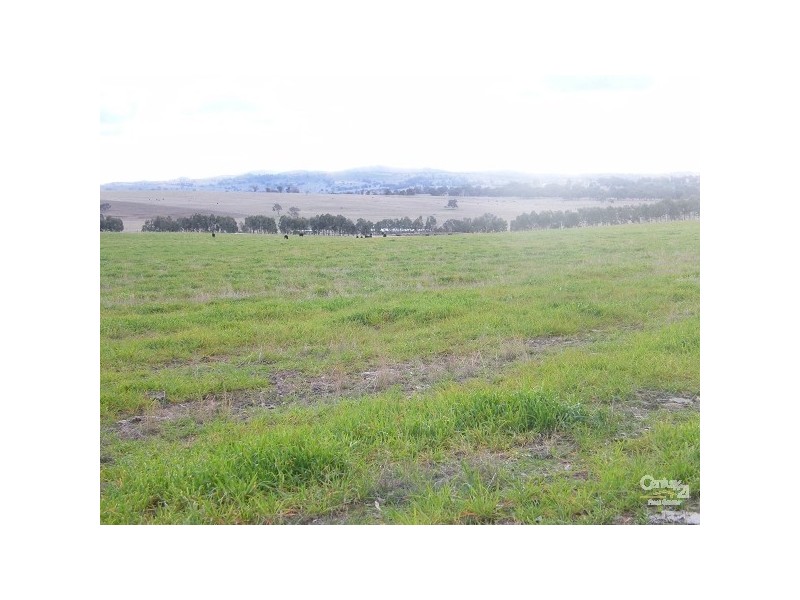 Lot 101 Back Woolbrook Road, Woolbrook NSW 2354