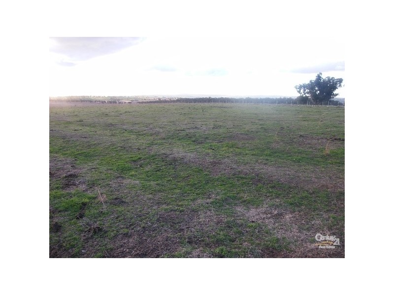 Lot 101 Back Woolbrook Road, Woolbrook NSW 2354