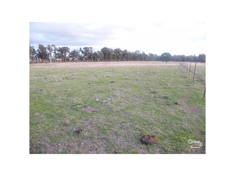 Lot 101 Back Woolbrook Road, Woolbrook NSW 2354