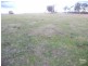 Lot 101 Back Woolbrook Road, Woolbrook NSW 2354