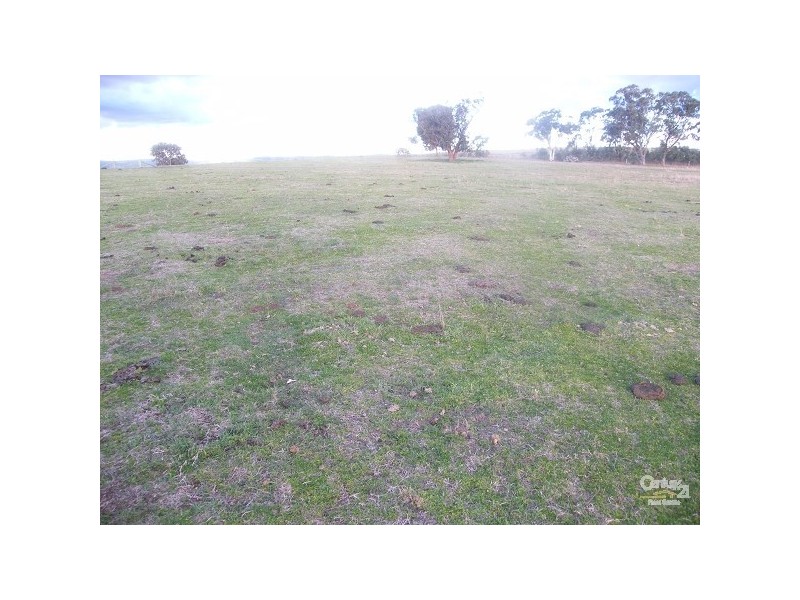 Lot 101 Back Woolbrook Road, Woolbrook NSW 2354