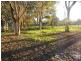 Lot 101 Back Woolbrook Road, Woolbrook NSW 2354