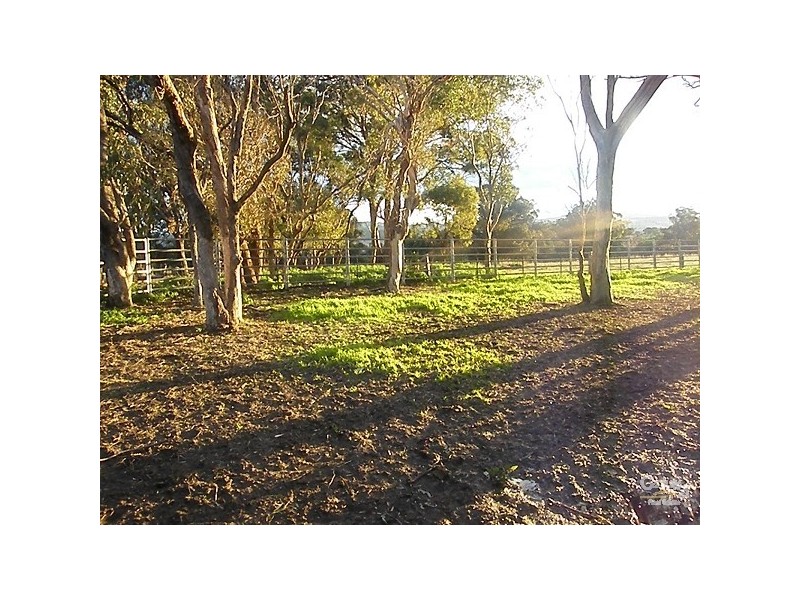 Lot 101 Back Woolbrook Road, Woolbrook NSW 2354