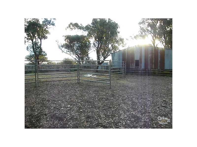 Lot 101 Back Woolbrook Road, Woolbrook NSW 2354