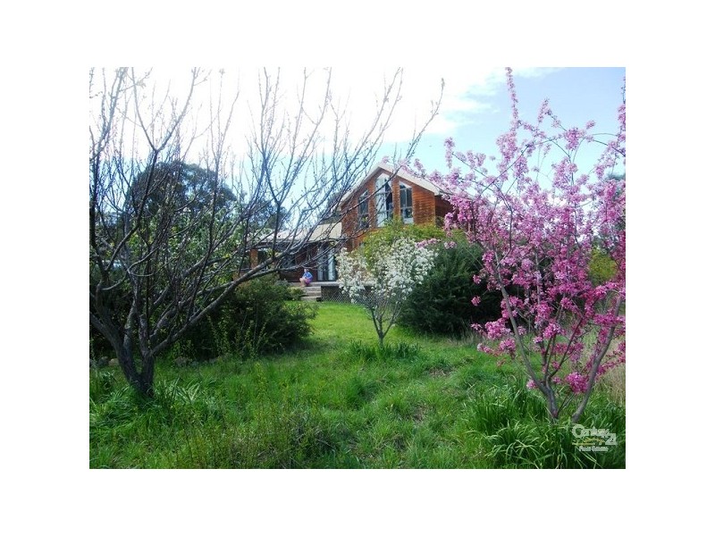 48 Kareela Road, Invergowrie NSW 2350