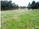 48 Kareela Road, Invergowrie NSW 2350