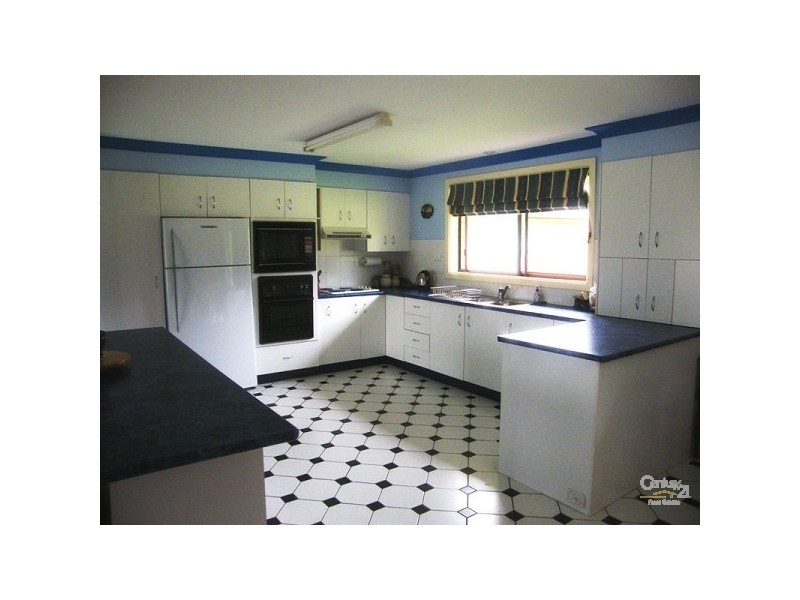 58 Kareela Road, Invergowrie NSW 2350