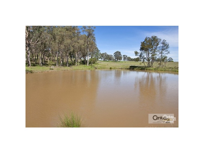 175 Kalinda Road, Invergowrie NSW 2350