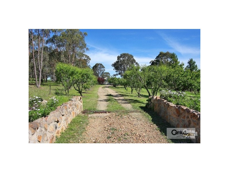 175 Kalinda Road, Invergowrie NSW 2350