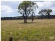 542 Long Swamp Road, Armidale NSW 2350