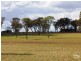 542 Long Swamp Road, Armidale NSW 2350
