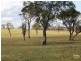 542 Long Swamp Road, Armidale NSW 2350