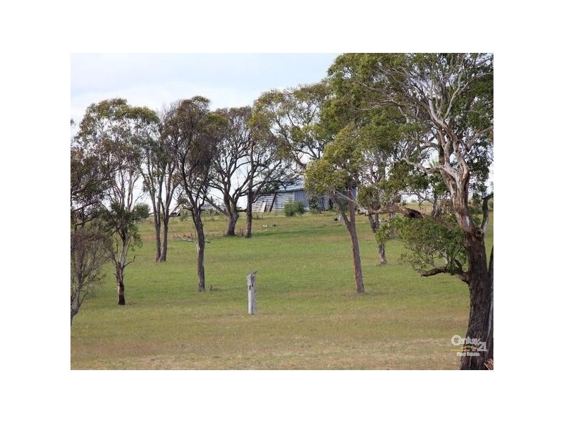 542 Long Swamp Road, Armidale NSW 2350