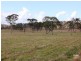 542 Long Swamp Road, Armidale NSW 2350