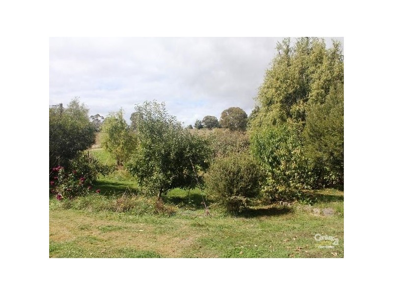 35 Brereton Street, Hillgrove NSW 2350