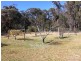 240 Herbert Park Road, Armidale NSW 2350