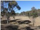 240 Herbert Park Road, Armidale NSW 2350