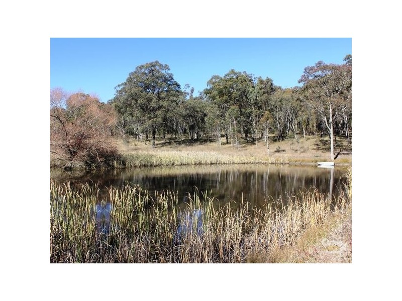 240 Herbert Park Road, Armidale NSW 2350