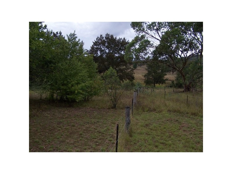 21 SAWMILL LANE, Kingstown NSW 2358