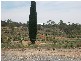 122 BROWN STREET, Broken Hill NSW 2880