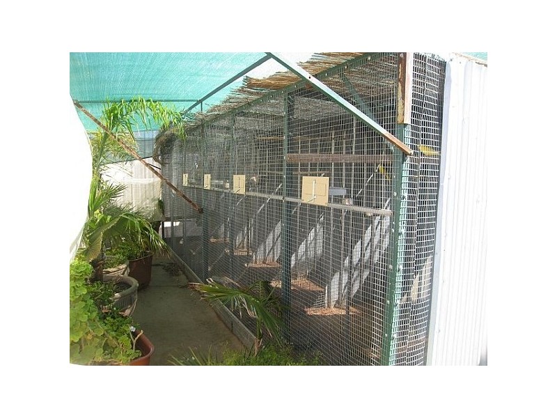 242 MORGAN STREET, Broken Hill NSW 2880