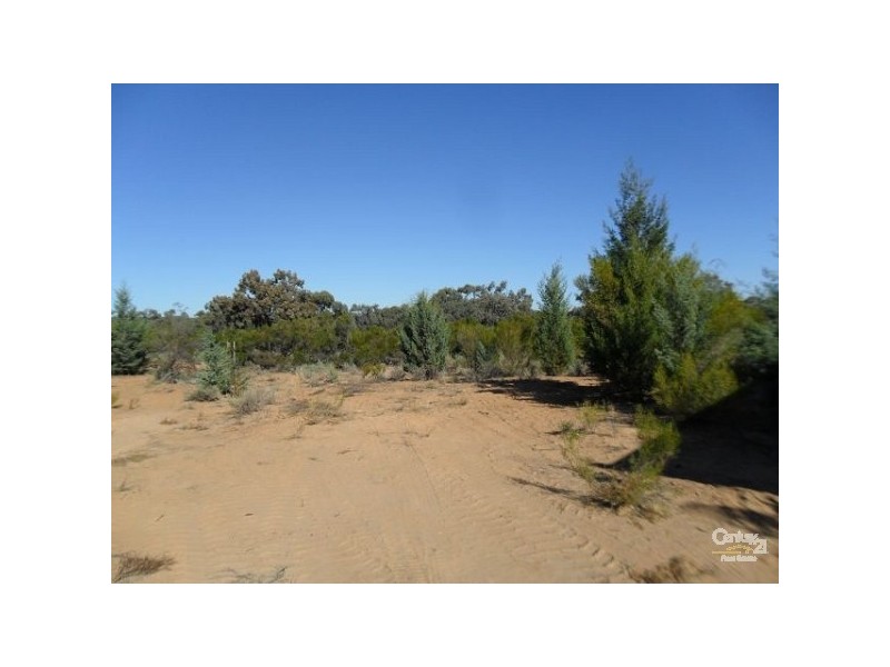 90 PARADISE WAY, MENINDEE, Menindee NSW 2879