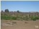 178 BUDGIE STREET, Menindee NSW 2879
