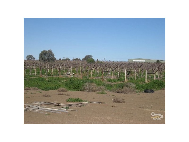 178 BUDGIE STREET, Menindee NSW 2879