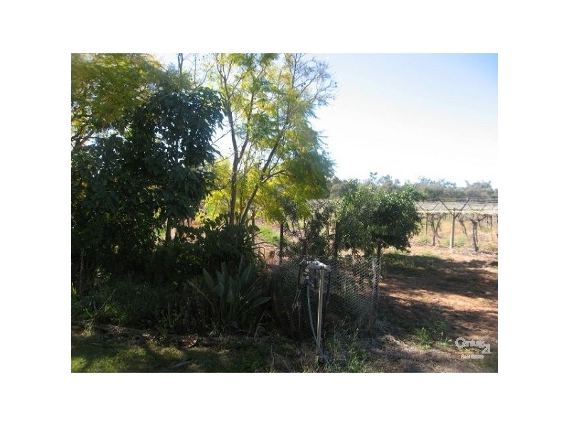 178 BUDGIE STREET, Menindee NSW 2879