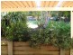 31 Griffiths Avenue, Coffs Harbour NSW 2450