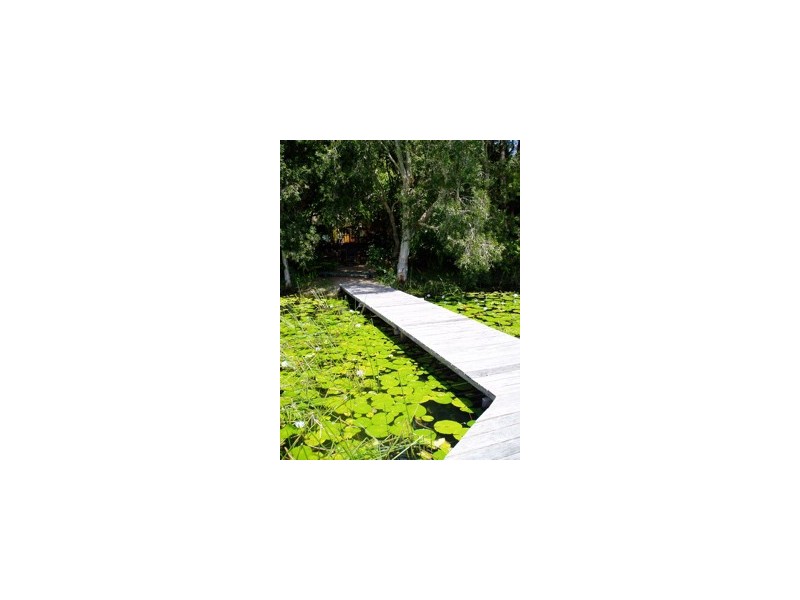 12 Smiths Road, Emerald Beach NSW 2456