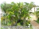 20B Diggers Beach Road, Coffs Harbour NSW 2450