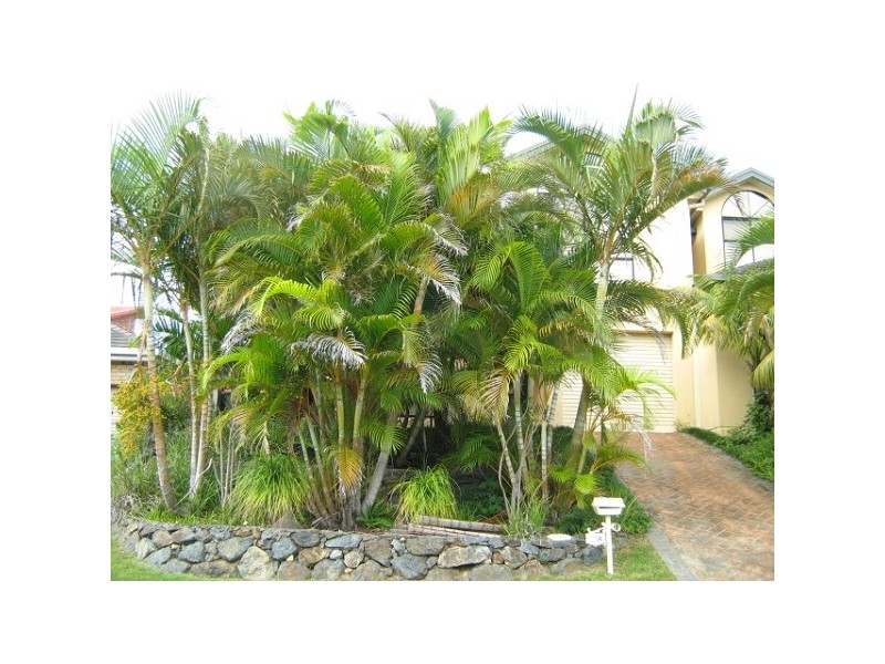 20B Diggers Beach Road, Coffs Harbour NSW 2450