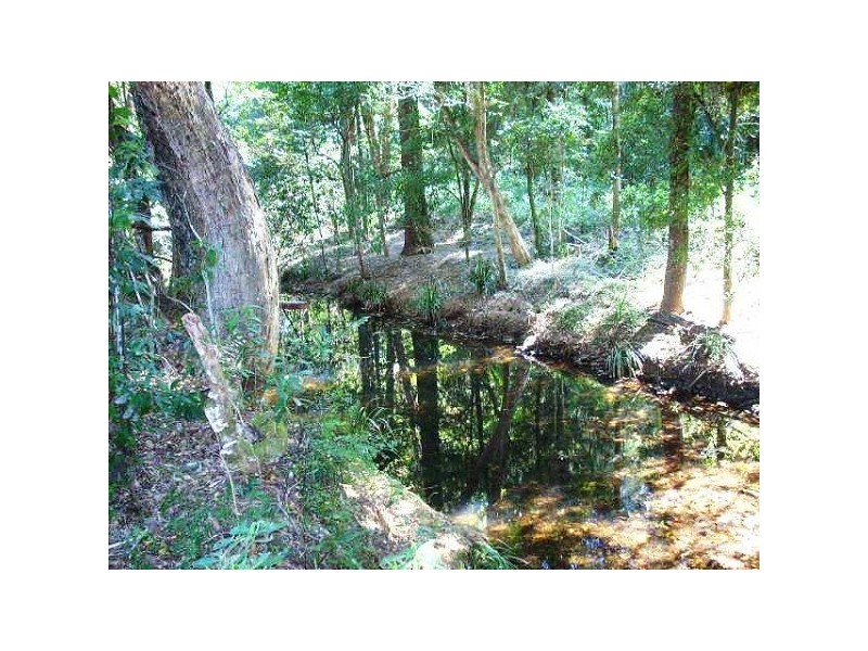 24 Timber Top Road, Glenreagh NSW 2450