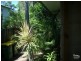 8 Turpentine Avenue, Sandy Beach NSW 2456