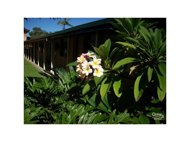 6 Fitzgerald Street, Coffs Harbour NSW 2450
