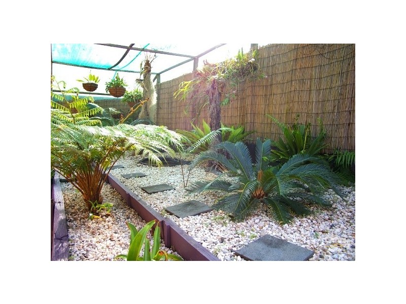 2/105 Argyll Street, Coffs Harbour NSW 2450