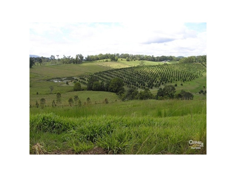 Lot 3 Peppertree Grove  off Congarinni Road, Congarinni North NSW 2447
